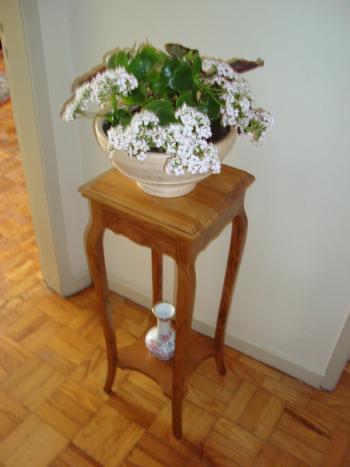 Pedestal fabricado en madera de cerezo macizo en estilo Luis XV 