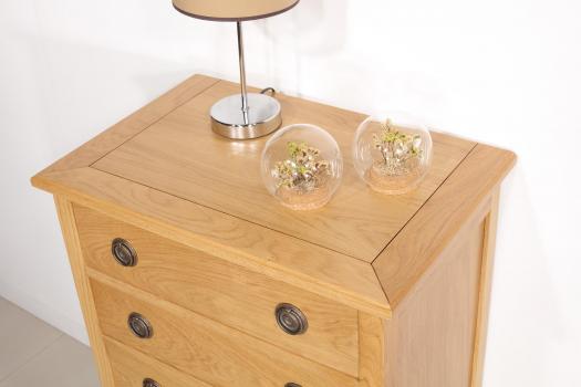 Cómoda de roble de 5 cajones estilo Directoire Yvan